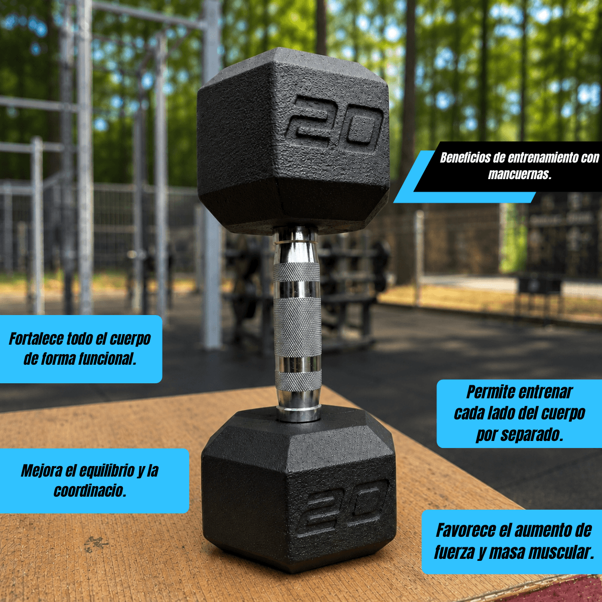 Mancuernas Forge – Fundición + Grip Cromado